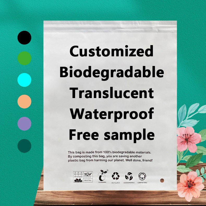 Zeal X запускає високоефективні біорозкладні пакети PLA PBAT для екологічних пакувальних рішень у всьому світі